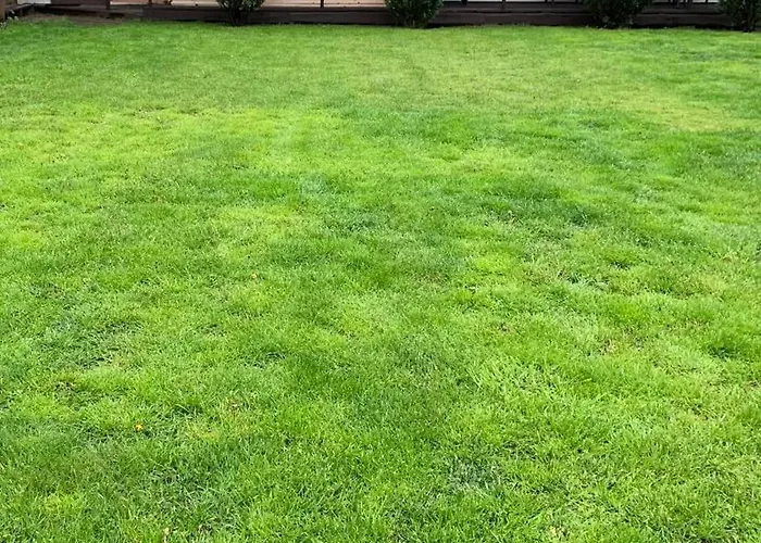 Del Sol 假日公园